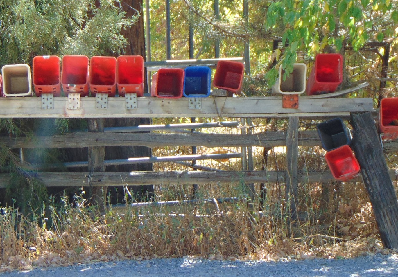 Empty newspaper boxes from Wikimedia commons: https://commons.wikimedia.org/wiki/File:Newspaper_deliver_boxes_in_Hobble_Creek_Canyon,_Sep_16.jpg